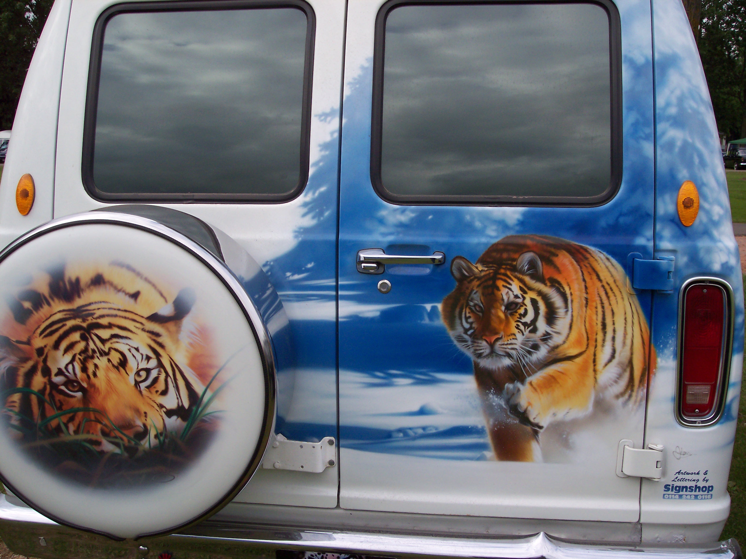 Rear View Tiger Mania